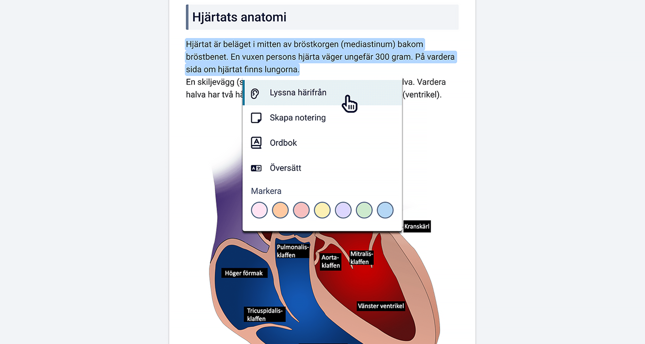 Få text uppläst, markera, översätt och skriv anteckningar – funktioner som ger ökar tillgängligheten för alla elever.